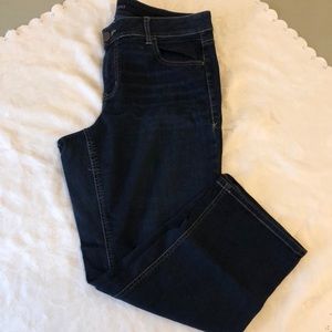 Lane Bryant genius fit crop.